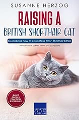 Raising british shorthair for sale  Delivered anywhere in USA 