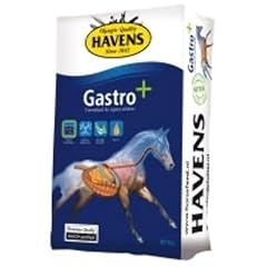 Havens gastro 20 gebraucht kaufen  Wird an jeden Ort in Deutschland