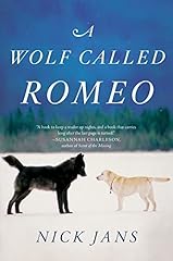 Wolf called romeo for sale  Delivered anywhere in USA 