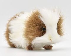 Brown white guinea for sale  Delivered anywhere in UK