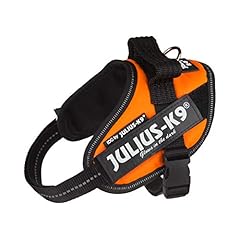 Julius idc powerharness gebraucht kaufen  Wird an jeden Ort in Deutschland