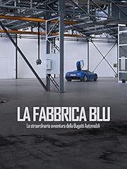 Fabbrica blu usato  Spedito ovunque in Italia 