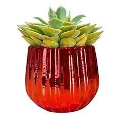 Admired nature ceramic for sale  Delivered anywhere in USA 