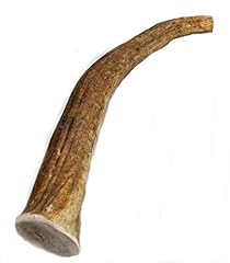 Big dog antler for sale  Delivered anywhere in USA 