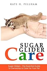 Sugar gliders the d'occasion  Livré partout en France