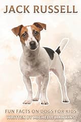 Jack russel fun for sale  Delivered anywhere in UK