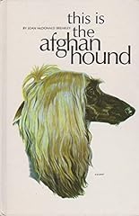 Afghan hound for sale  Delivered anywhere in USA 
