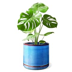 Litudiso inch ceramic for sale  Delivered anywhere in USA 