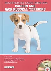 Parson jack russell for sale  Delivered anywhere in UK