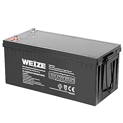 Weize agm group for sale  Delivered anywhere in USA 