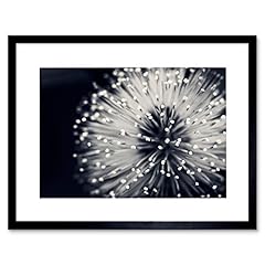 Art stop photo for sale  Delivered anywhere in USA 