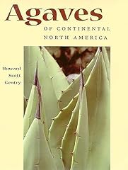 Agaves continental north for sale  Delivered anywhere in USA 