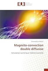 Magnéto convection double d'occasion  Livré partout en France