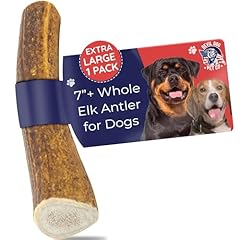 Devil dog pet for sale  Delivered anywhere in USA 
