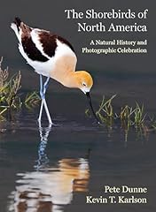 Shorebirds north america for sale  Delivered anywhere in USA 