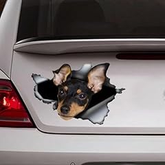Madcolitote pinscher adesivi usato  Spedito ovunque in Italia 