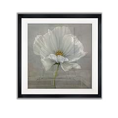 Renditions gallery daisy for sale  Delivered anywhere in USA 
