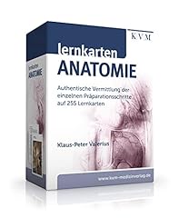 Lernkarten anatomie authentisc gebraucht kaufen  Wird an jeden Ort in Deutschland