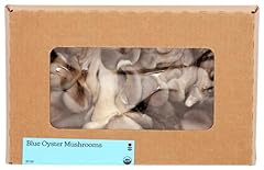 Smallhold organic blue for sale  Delivered anywhere in USA 