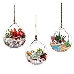 Ivolador hanging plants for sale  Delivered anywhere in USA 