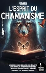 chamanique d'occasion  Livré partout en France