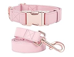 Dog collar leash for sale  Delivered anywhere in USA 
