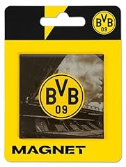 Borussia dortmund magnet gebraucht kaufen  Wird an jeden Ort in Deutschland