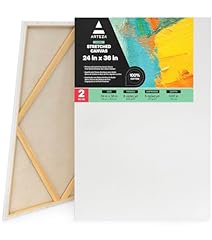 Arteza canvases painting for sale  Delivered anywhere in USA 