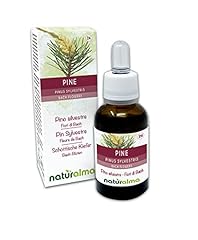 Pine naturalma bach for sale  Delivered anywhere in UK