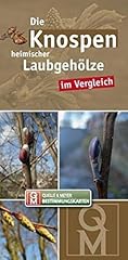 Knospen heimischer laubgehölz gebraucht kaufen  Wird an jeden Ort in Deutschland