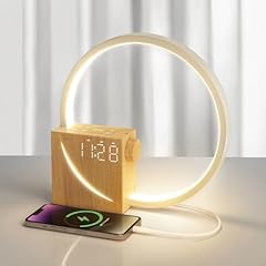 Blonbar nachttischlampe wake gebraucht kaufen  Wird an jeden Ort in Deutschland