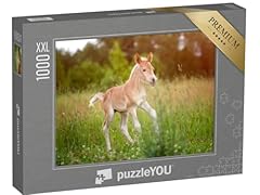 Puzzle 1000 pièces d'occasion  Livré partout en France