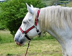 Licol cheval trait d'occasion  Livré partout en France