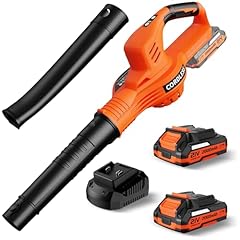 Leaf blower cordless for sale  Delivered anywhere in USA 