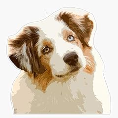 Cute australian shepard for sale  Delivered anywhere in USA 