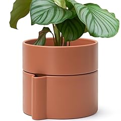 Inch self watering for sale  Delivered anywhere in USA 