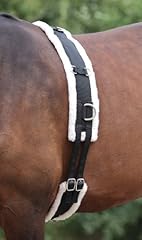 Shires fascione equitazione usato  Spedito ovunque in Italia 