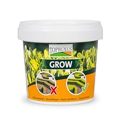 Topbuxus grow professional for sale  Delivered anywhere in UK