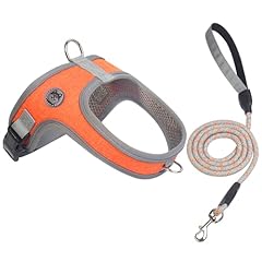 Dog harness leash for sale  Delivered anywhere in USA 