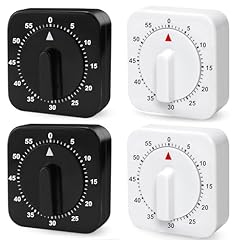 Nizirioo timer meccanico usato  Spedito ovunque in Italia 