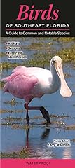 Birds southeast florida for sale  Delivered anywhere in USA 