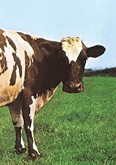 Atom heart mother. usato  Spedito ovunque in Italia 
