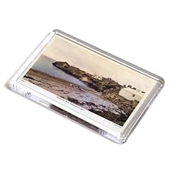 Fridge magnet vintage for sale  Delivered anywhere in UK