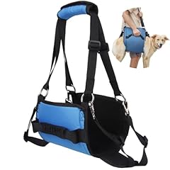 Cuemoon dog carry usato  Spedito ovunque in Italia 