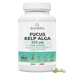 Bandini fucus kelp usato  Spedito ovunque in Italia 