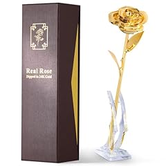 Eco space 24k for sale  Delivered anywhere in USA 