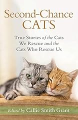 Second chance cats for sale  Delivered anywhere in USA 