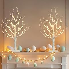 Vanthylit birch tree for sale  Delivered anywhere in UK