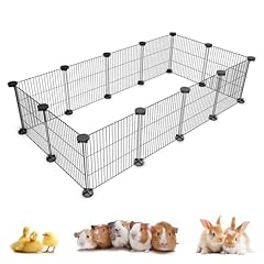 Chegron guinea pig for sale  Delivered anywhere in USA 