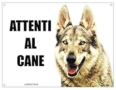 Lupo cecoslovacco attenti usato  Spedito ovunque in Italia 
